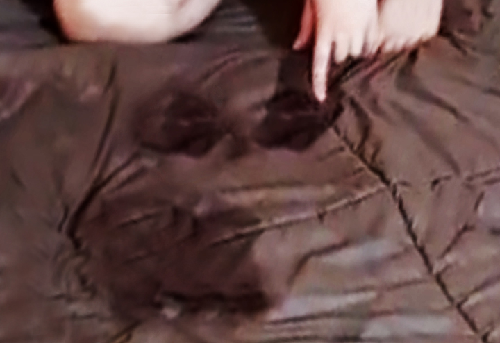 "...My pants were wet!!!" Is it because the inside of my pants was wet? (￢∀￢) | Live chat video