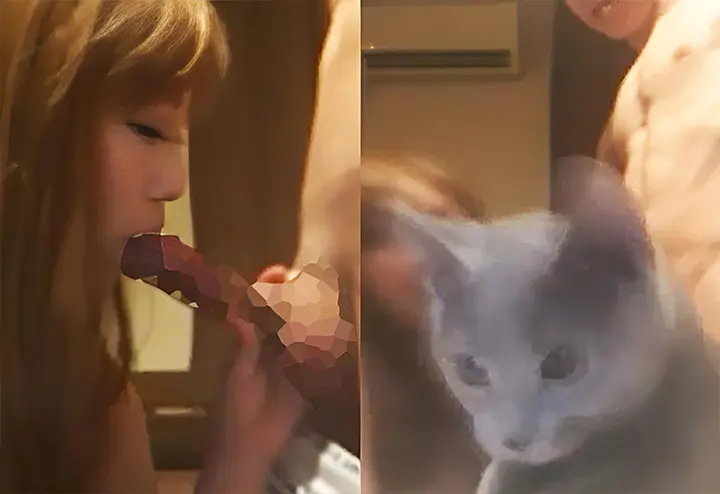 フェラ中に猫が乱入するライブチャット